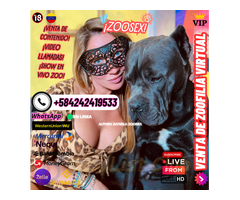 ZOOFILIA VIRTUAL PORNO A LA VENTA DISPONIBLE LAS 24 HORAS VIP CONTACTA