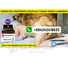 ZOOSEX PORNO ANIMAL ONLINE CONTENIDO ZOO A LA VENTA Y SHOW EN VIVO