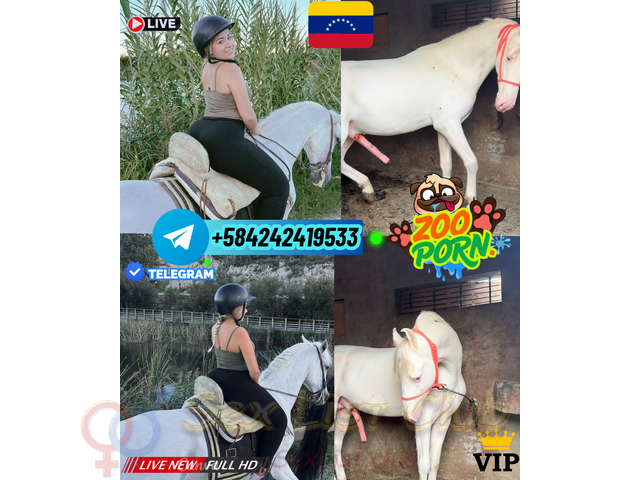 RUBIA FOLLADA POR PERROS Y CABALLOS PORNO TELEGRAM ONLINE VENTA