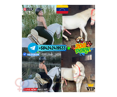 RUBIA FOLLADA POR PERROS Y CABALLOS PORNO TELEGRAM ONLINE VENTA